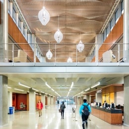 Library Paseo and Paseo Bridge