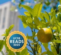 Orange fruit on a tree with Storke tower in the background 